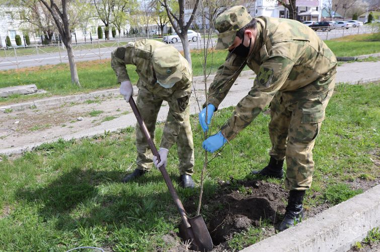 Росгвардейцы Карачаево-Черкесии приняли участие в озеленении территории