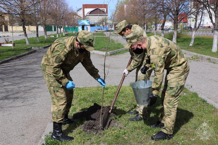 Росгвардейцы Карачаево-Черкесии приняли участие в озеленении территории