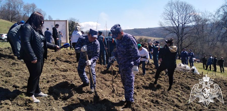Росгвардия поддержала Международную акцию «Сад памяти» в Карачаево-Черкесии