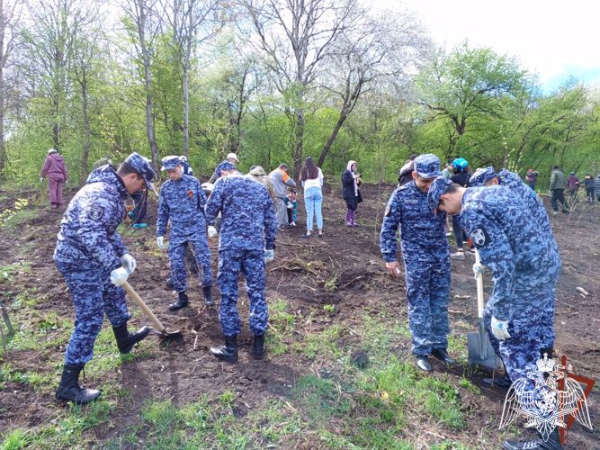 Росгвардейцы Карачаево-Черкесии присоединились к международной патриотической акции «Сад памяти»
