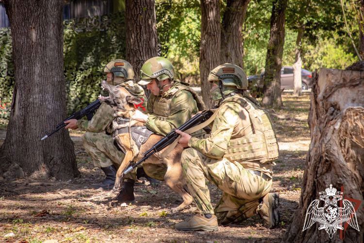 ВЫСТАВКА РОСГВАРДИИ «ДЕНЬ ПЕРЕДОВЫХ ТЕХНОЛОГИЙ» ПРОШЛА В СТОЛИЦЕ СЕВЕРО-КАВКАЗСКОГО ФЕДЕРАЛЬНОГО ОКРУГА