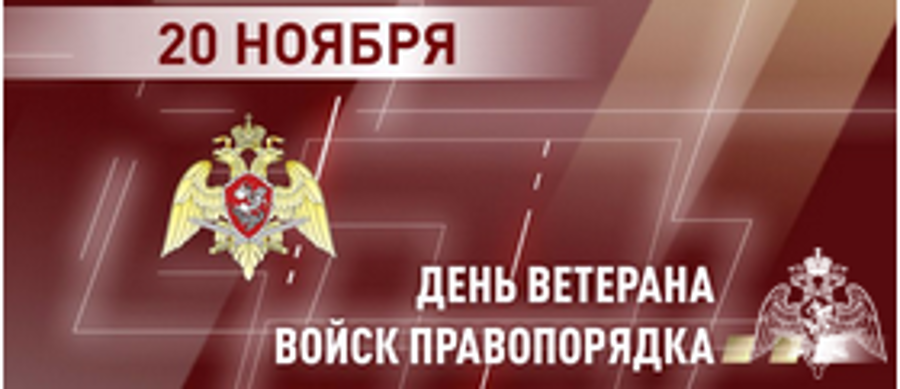 Генерал армии Виктор Золотов поздравил Общероссийскую общественную организацию ветеранов войск правопорядка с 15-летием