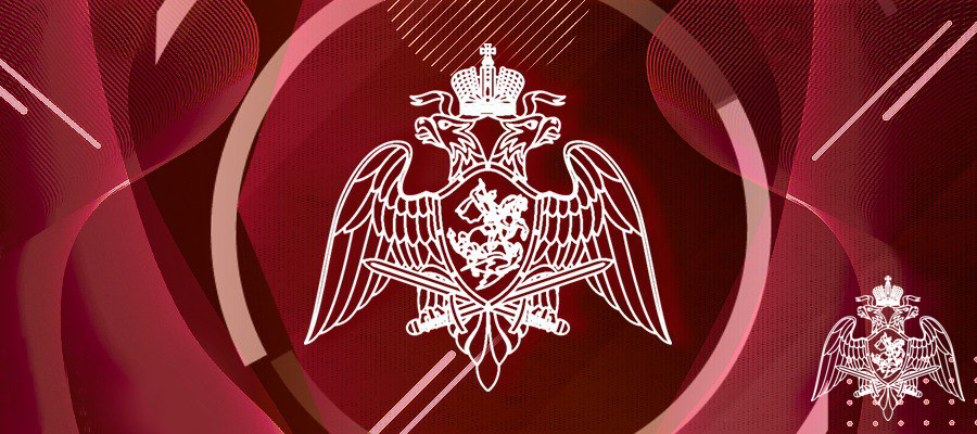 Генерал армии Виктор Золотов принял участие в заседании коллегии МЧС России