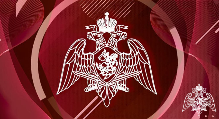 В Росгвардии состоялось заседание координационного совета по вопросам совершенствования механизма учета оружия и контроля за его оборотом