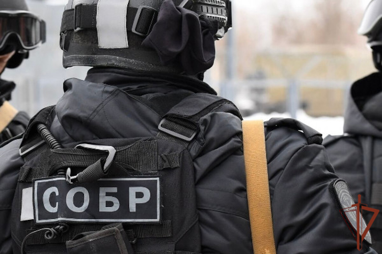 При силовой поддержке СОБР Росгвардии в Карачаево-Черкесии ликвидирован канал поставки запрещенных веществ