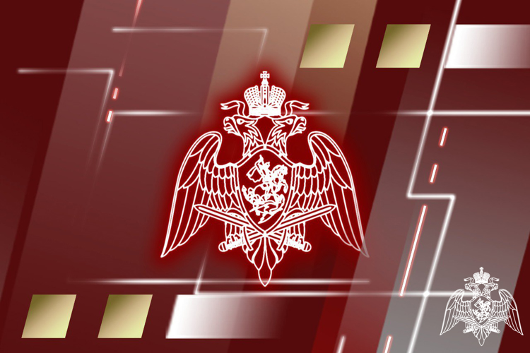 Генерал-полковник Олег Плохой принял участие в ежегодном совещании со статс-секретарями – заместителями руководителей федеральных органов исполнительной власти в Совете Федерации Федерального Собрания Российской Федерации
