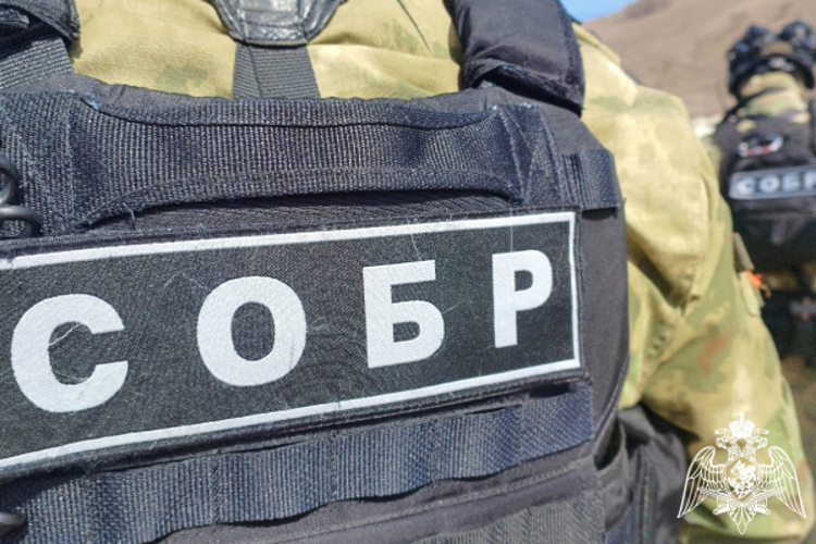 Рейд по противодействию организации проституции прошел при содействии СОБР Росгвардии в Карачаево-Черкесии 