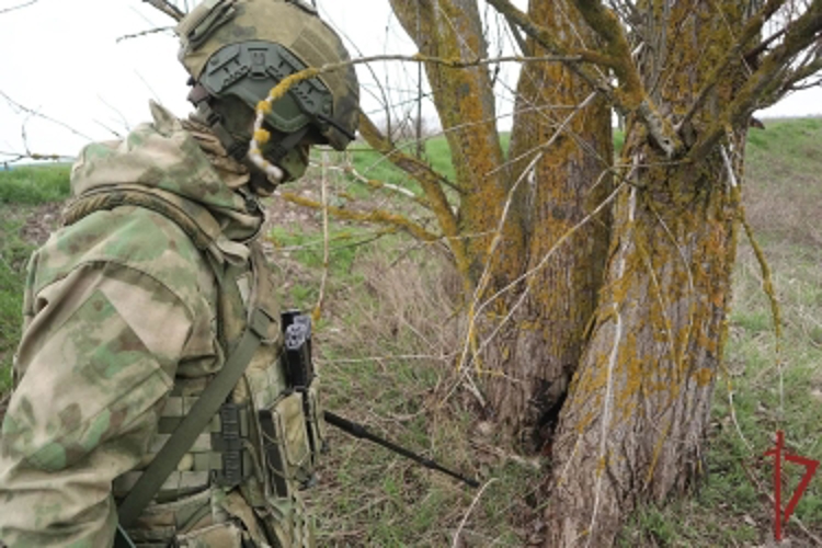 Росгвардейцы продолжают выполнять задачи по обеспечению общественной безопасности в Запорожской и Херсонской областях