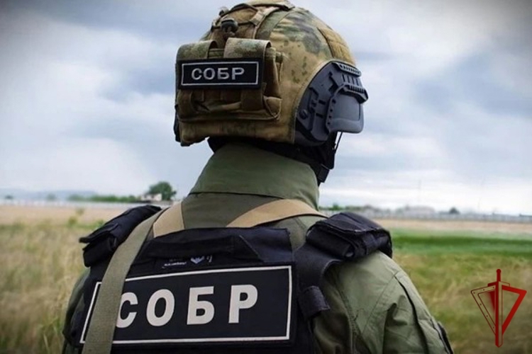 При силовой поддержке Росгвардии в Карачаево-Черкесии изъяты незаконно хранящиеся оружие и боеприпасы