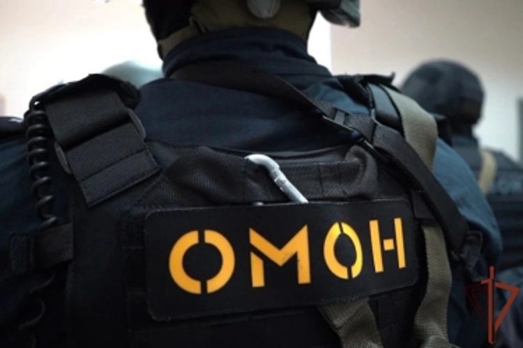 При силовой поддержке Росгвардии более чем в 40 регионах страны задержаны подозреваемые в незаконном обороте оружия, боеприпасов и взрывчатых веществ