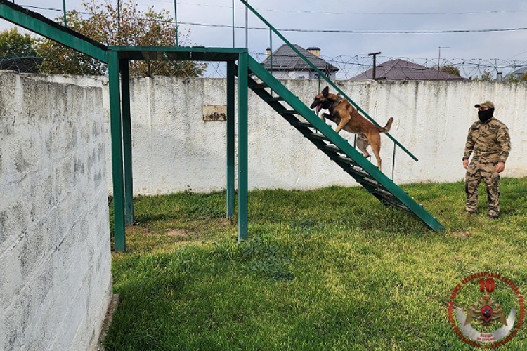   «В гостях у Росгвардии» побывала  съёмочная группа телеканала «Архыз 24»