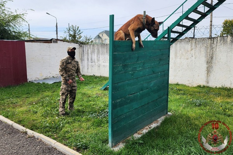   «В гостях у Росгвардии» побывала  съёмочная группа телеканала «Архыз 24»