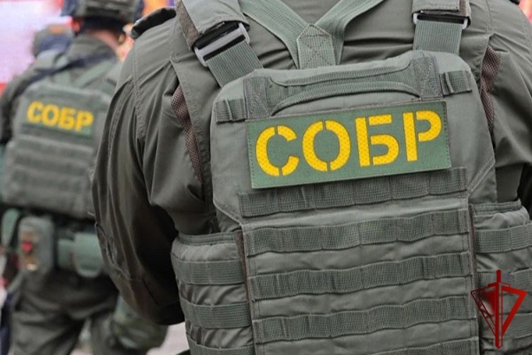 При силовой поддержке Росгвардии в Карачаево-Черкесии пресечена деятельность лиц, подозреваемых в совершении преступлений